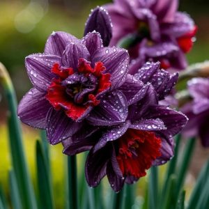 Нарцисс Минт Флер купить по цене от 2000р. в интернет-магазине «Посадика» с доставкой почтой в в Темрюке и по всей России – [изображение №1].