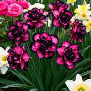 Нарцисс Золотая Корона купить по цене от 2000р. в интернет-магазине «Посадика» с доставкой почтой в в Темрюке и по всей России – [изображение №1].