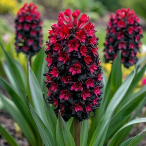 Гиацинт Джем Стоун купить по цене от 2099р. в интернет-магазине «Посадика» с доставкой почтой в в Темрюке и по всей России – [изображение №1].