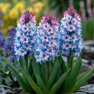 Гиацинт Пинк Мари купить по цене от 2099р. в интернет-магазине «Посадика» с доставкой почтой в в Темрюке и по всей России – [изображение №1].