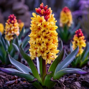 Гиацинт Миднайт Мистери купить по цене от 2099р. в интернет-магазине «Посадика» с доставкой почтой в в Темрюке и по всей России – [изображение №1].