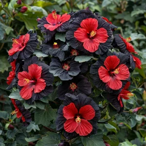 Гибискус Шиммеринг купить по цене от 720р. в интернет-магазине «Посадика» с доставкой почтой в в Темрюке и по всей России – [изображение №1].