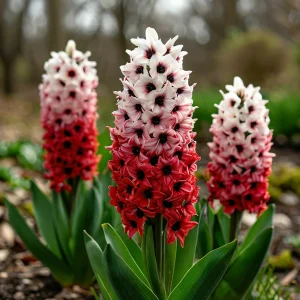 Гиацинт Скай Гарден купить по цене от 2099р. в интернет-магазине «Посадика» с доставкой почтой в в Темрюке и по всей России – [изображение №1].